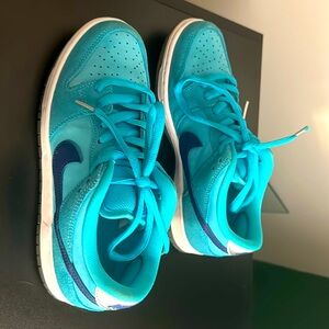 Gently warn teal and navy Nike SB dunks size 7 men's